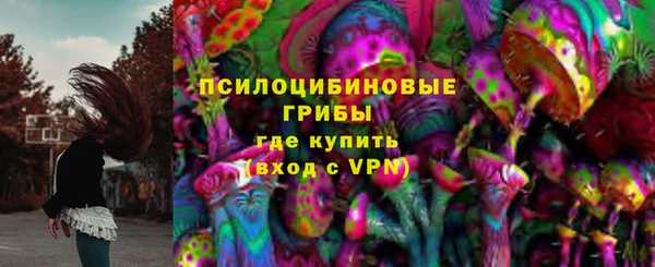меф Алексин